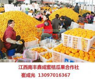 江西南丰蜜桔,南丰蜜桔中介_农副产品_世界工厂网中国产品信息库
